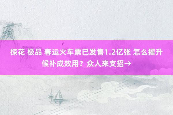 探花 极品 春运火车票已发售1.2亿张 怎么擢升候补成效用？众人来支招→