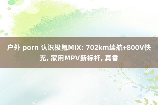 户外 porn 认识极氪MIX: 702km续航+800V快充， 家用MPV新标杆， 真香